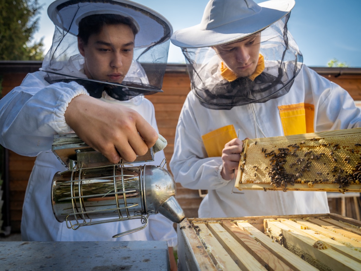 Featured image for “Beekeeper”